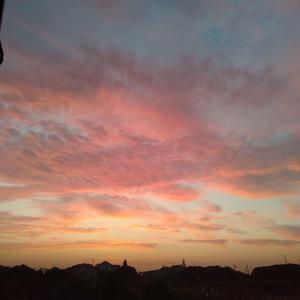 国产传媒高清无码无套
